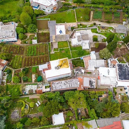 Delle Ninfee By Napoliapartments