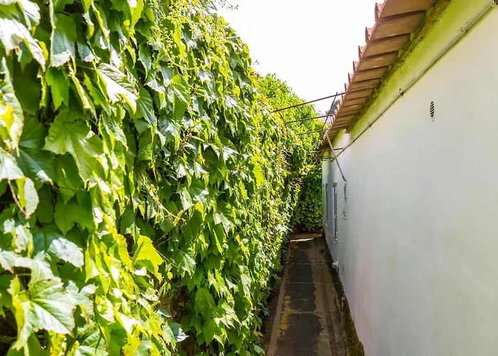 Delle Ninfee By Napoliapartments Villa