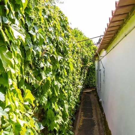 Delle Ninfee By Napoliapartments Villa