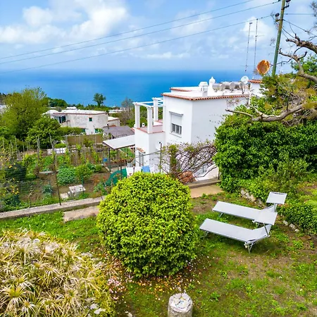 Delle Ninfee By Napoliapartments Villa