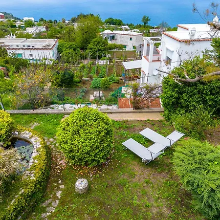 Delle Ninfee By Napoliapartments Anacapri (Isola di Capri)