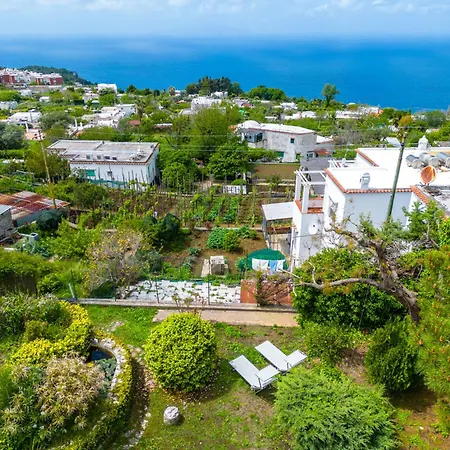 Delle Ninfee By Napoliapartments Anacapri (Isola di Capri)