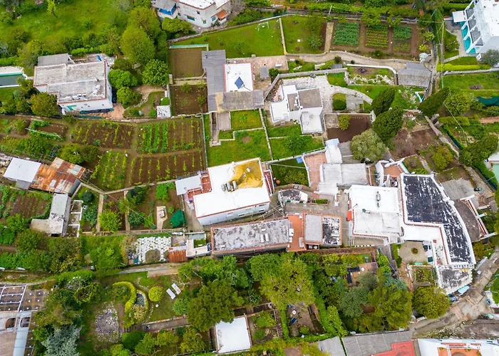 Delle Ninfee By Napoliapartments